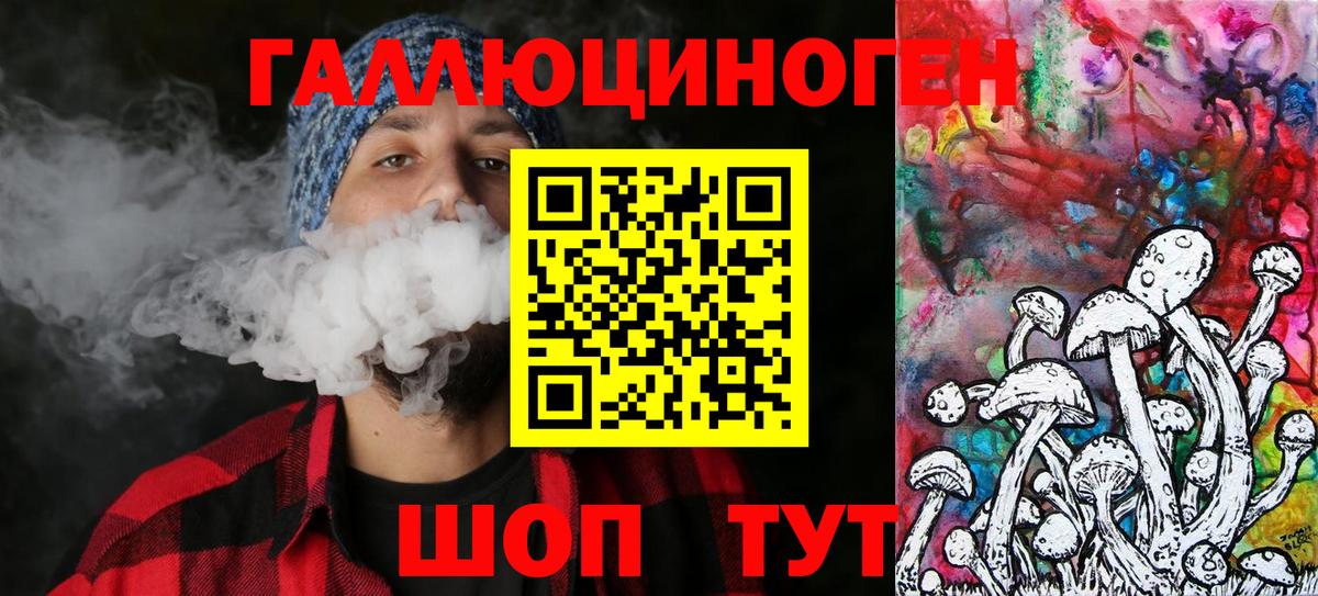 Псилоцибиновые грибы Cubensis Можга