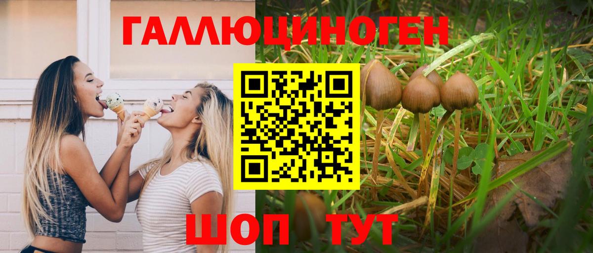 Псилоцибиновые грибы мухоморы  Вход с VPN  Можга  Галлюциногенные грибы мухоморы 